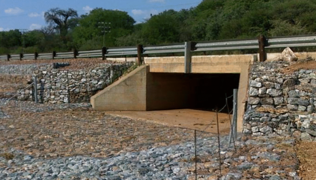 Nicholas Tickle - Culvert 4