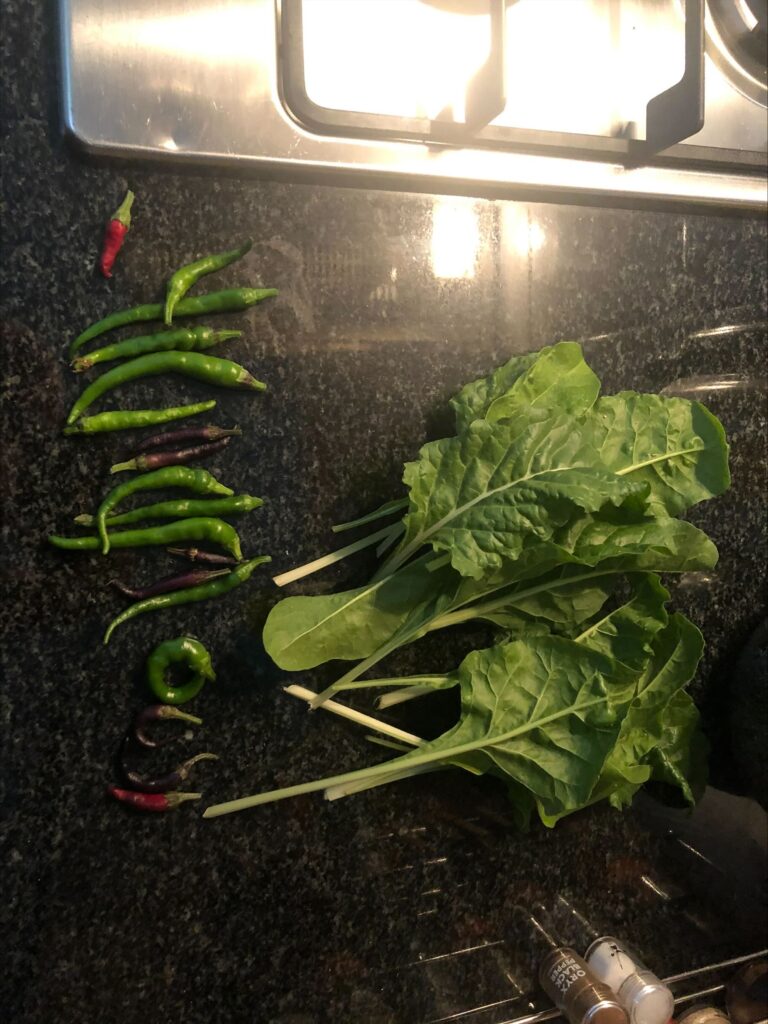 Nicholas Tickle - Everfarm 5